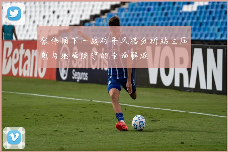 张伟丽下一战对手风格分析站立压制与地面防守的全面解读