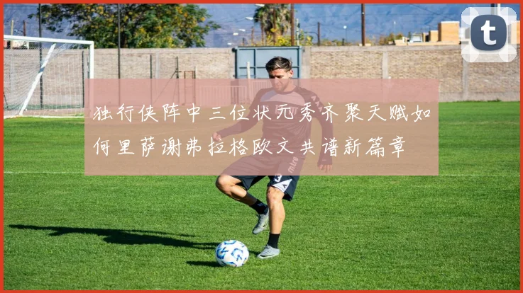 独行侠阵中三位状元秀齐聚天赋如何里萨谢弗拉格欧文共谱新篇章